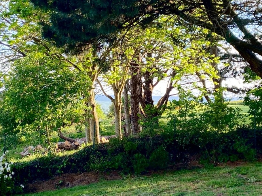 Aperçu MER, vue de la terrasse