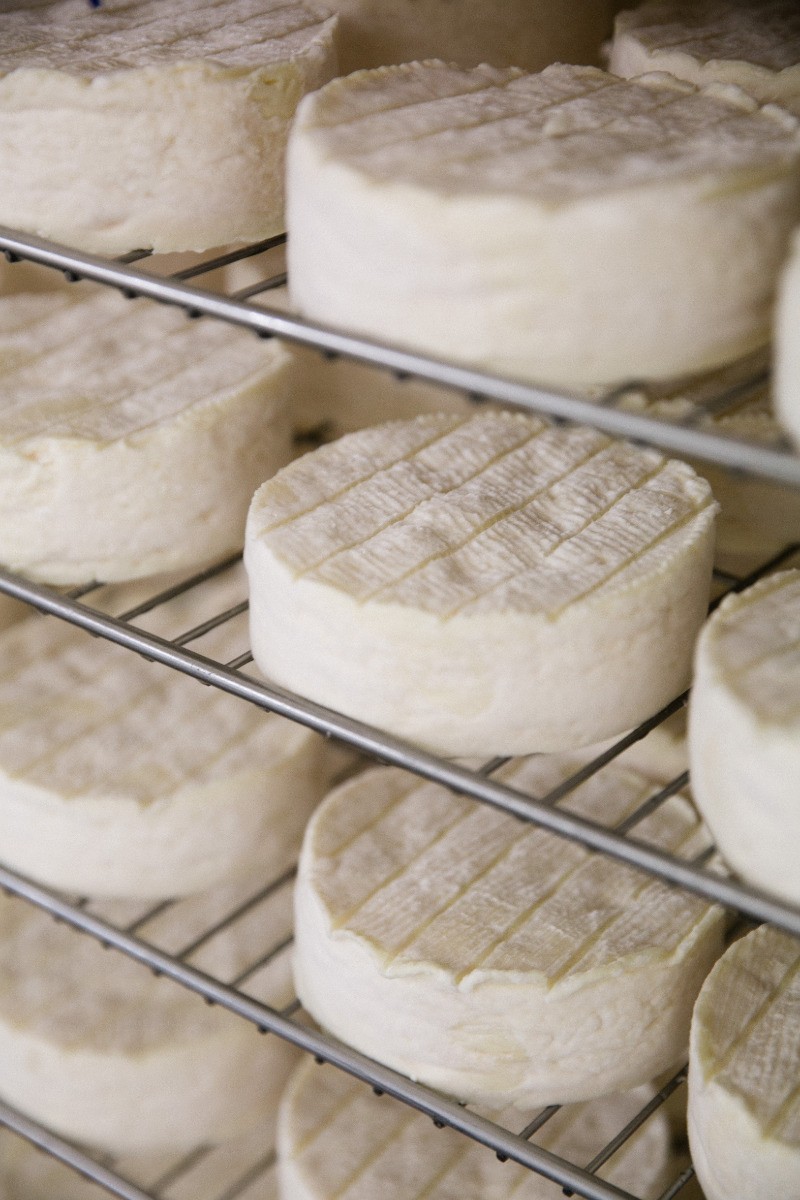 Fromagerie Réo à Lessay