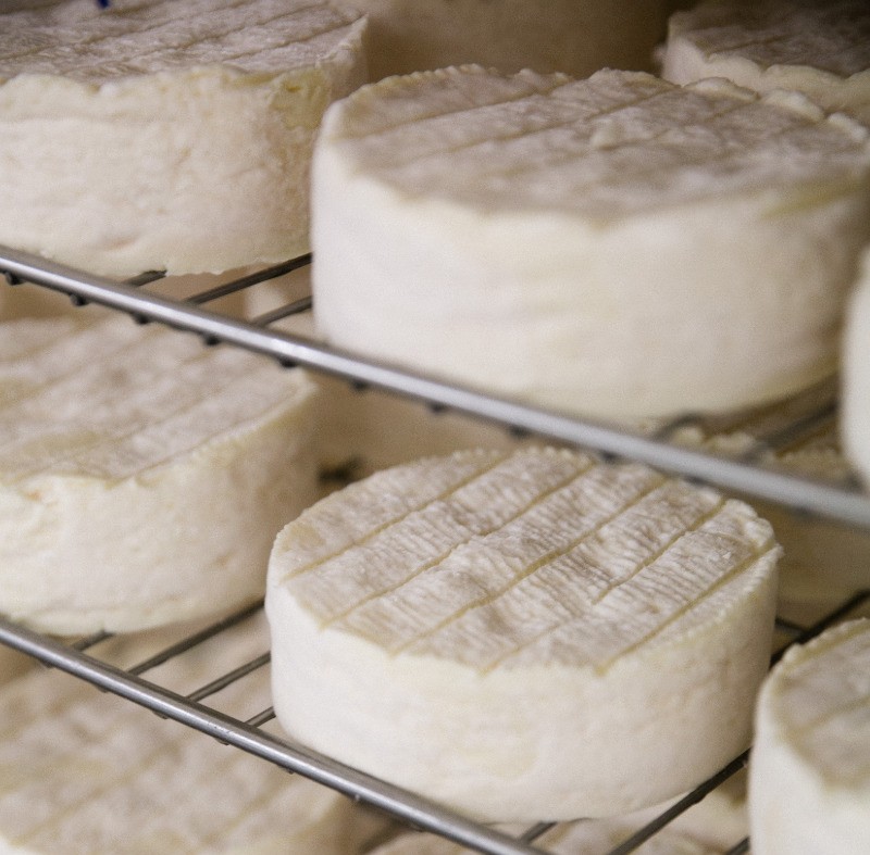 Fromagerie Réo à Lessay