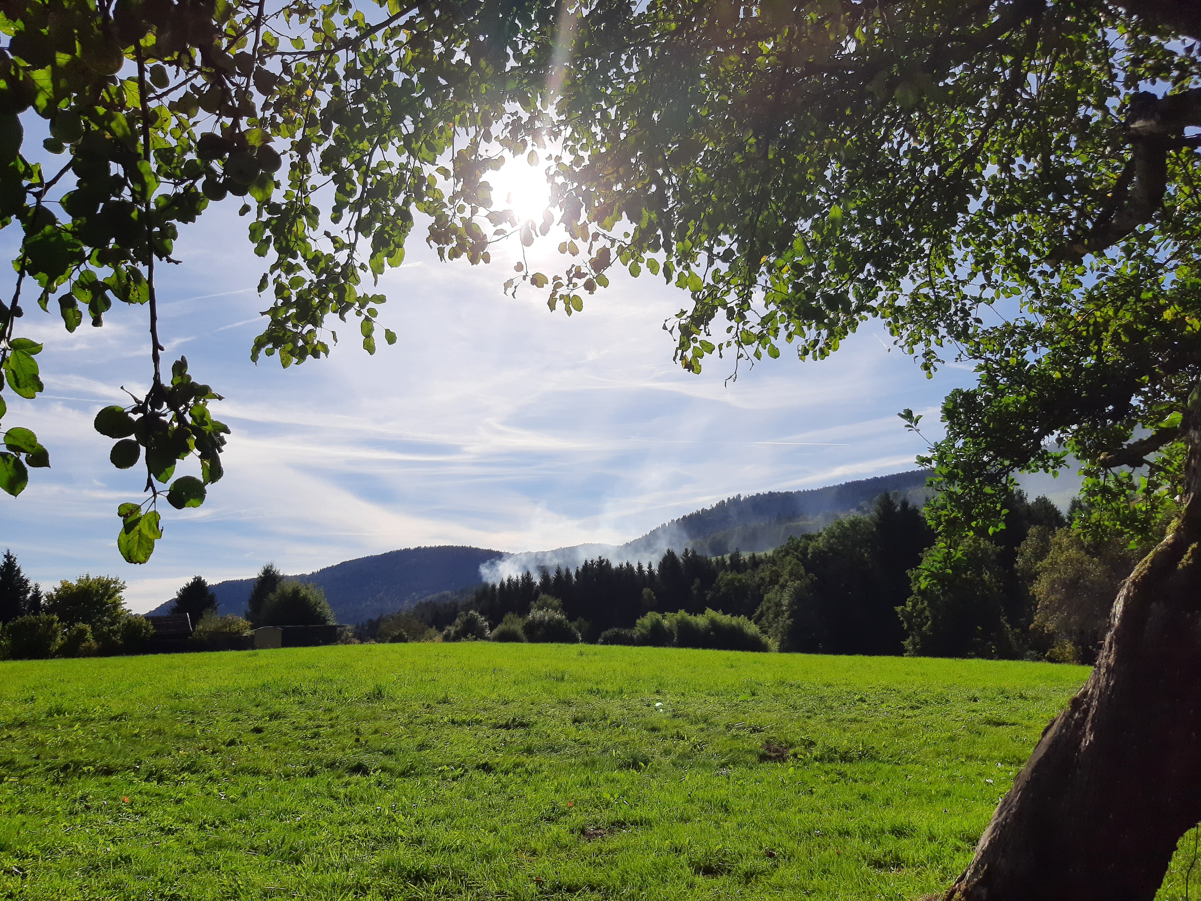 Chambre d’hôtes La Pimprenelle : repos et nature – Vosges