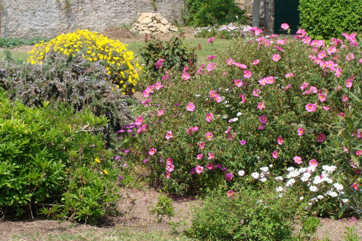 maison de caractère -  le jardin fleuri