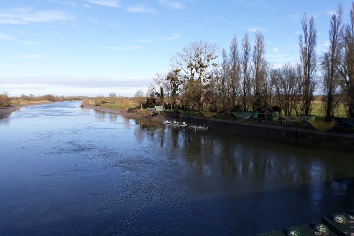 L houmée  la Charente