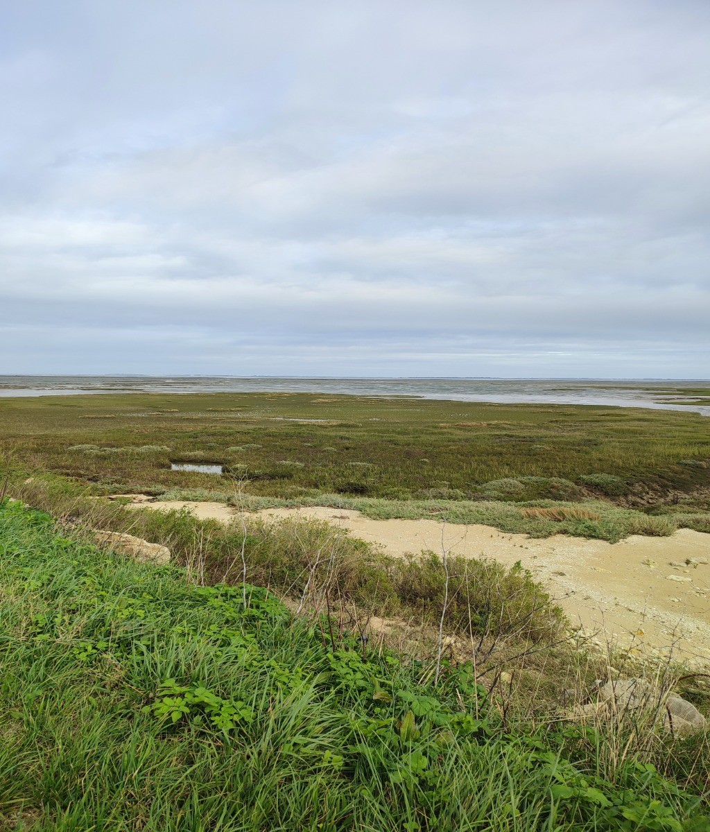 Le "Chemin d'Oléron" au départ de Château d'Oléron