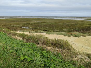 Le "Chemin d'Oléron" au départ de Château d'Oléron