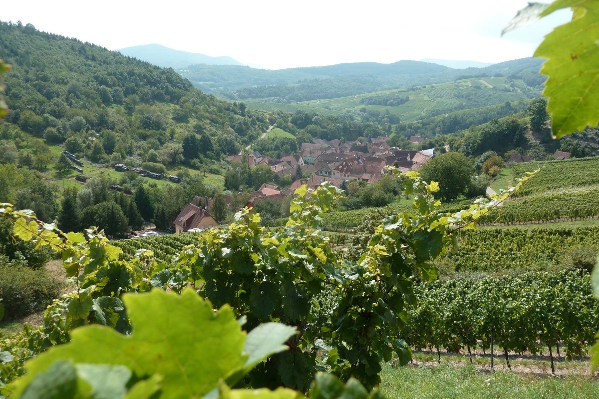 Vue sur le village de Bernardvillé