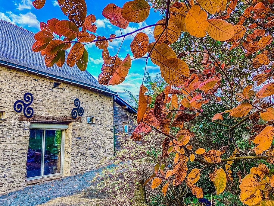 Photo n° 17 de la location