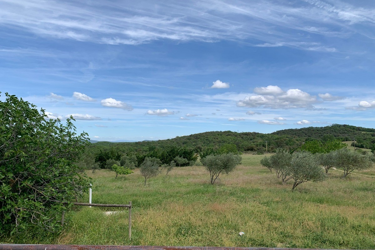 Gîte la Voûte des oliviers - La vue