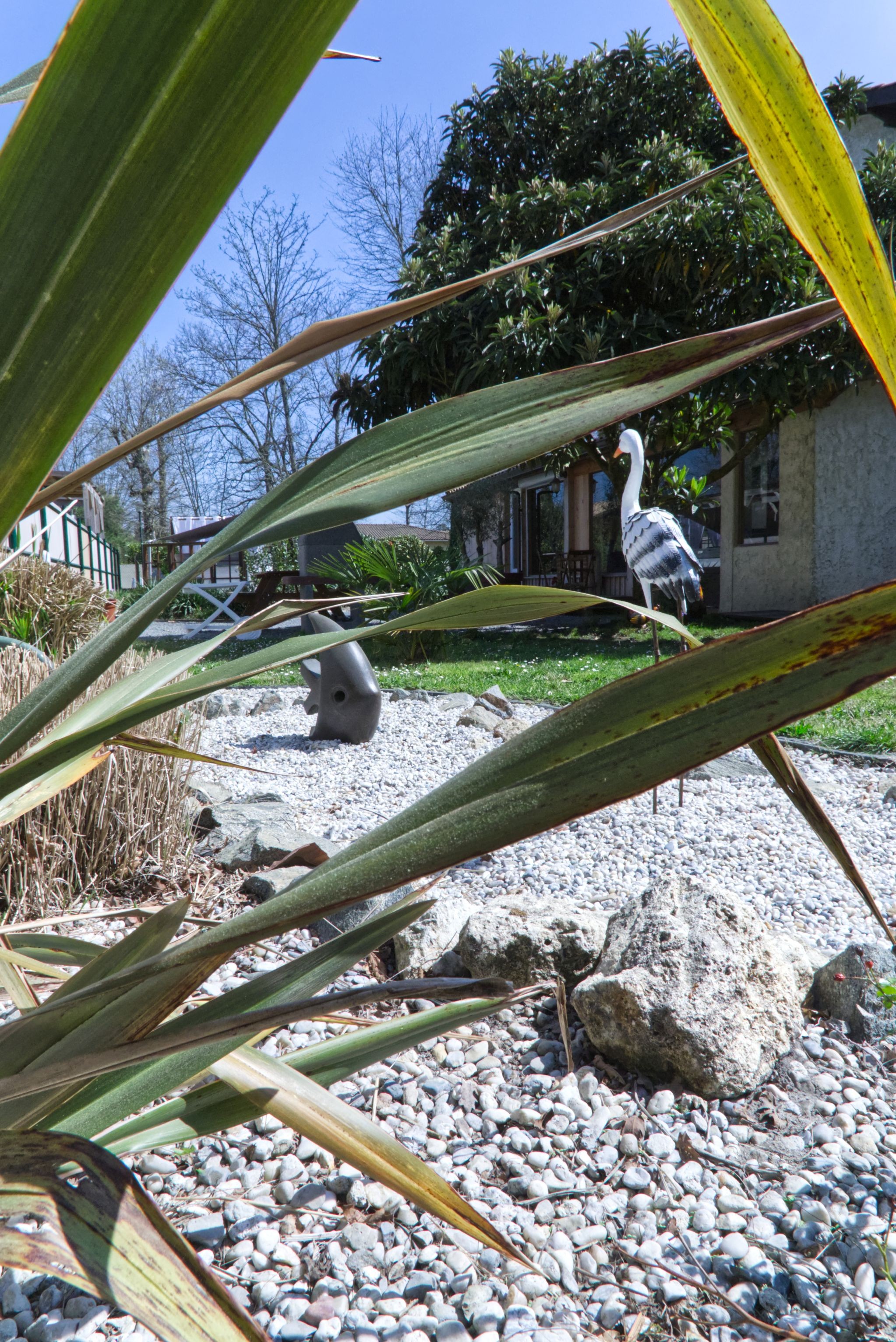Photo n° 18 of the location