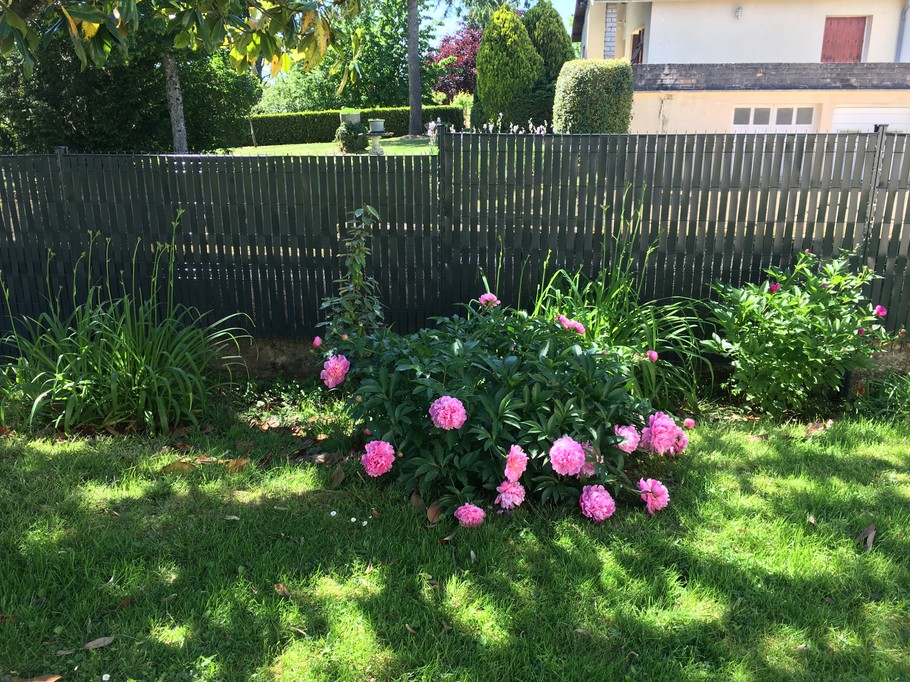 Photo n° 15 de la location