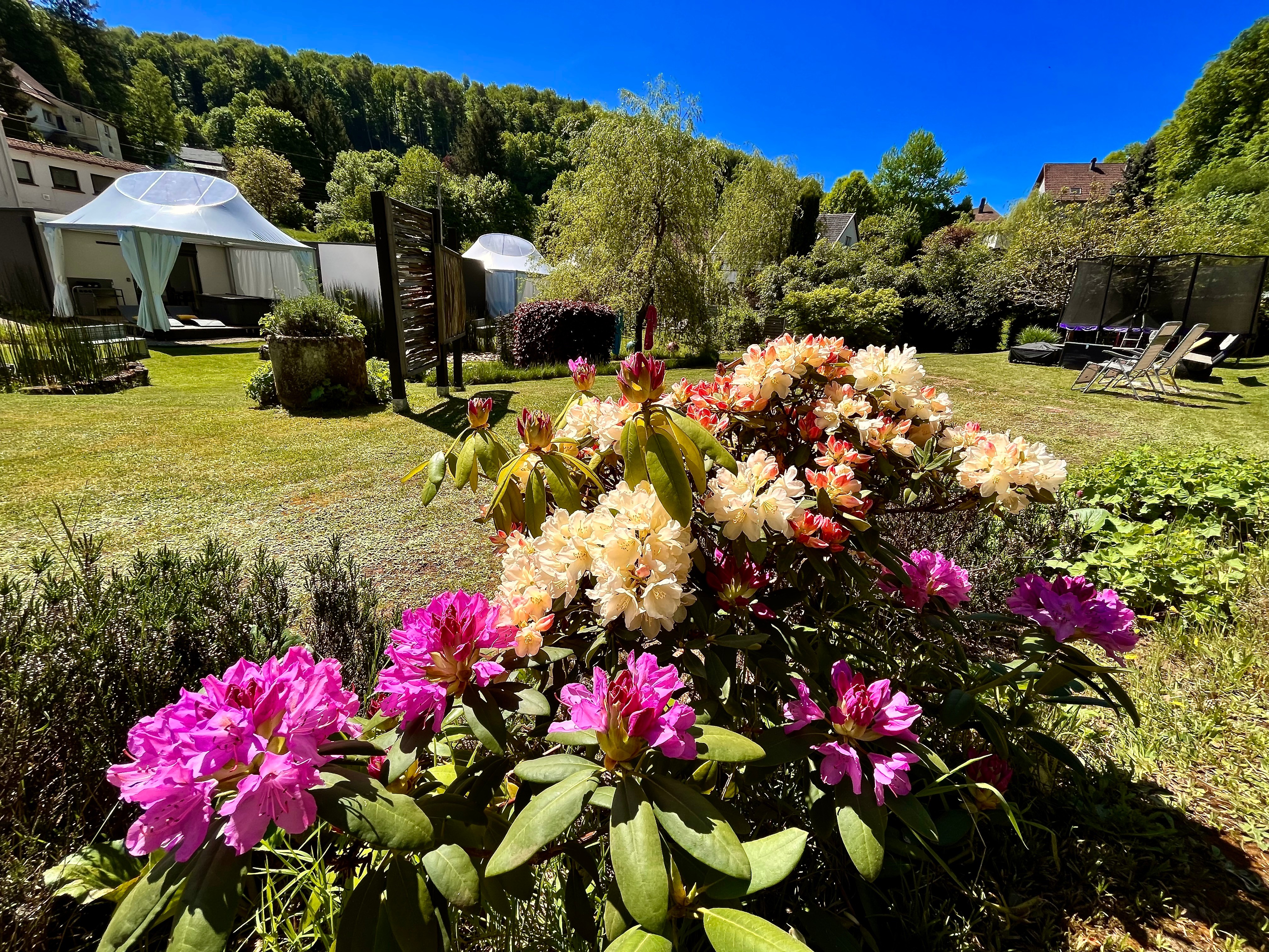 Photo n° 5 de la location
