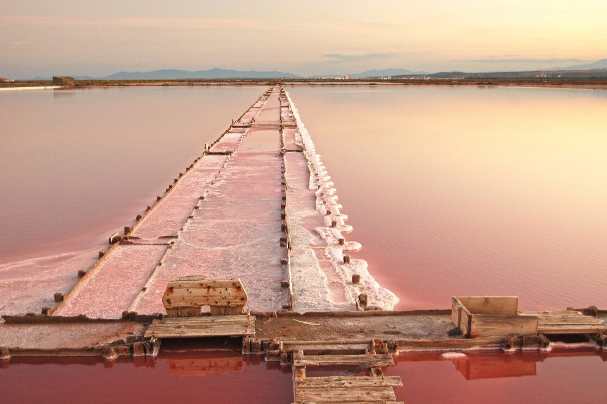 Salins