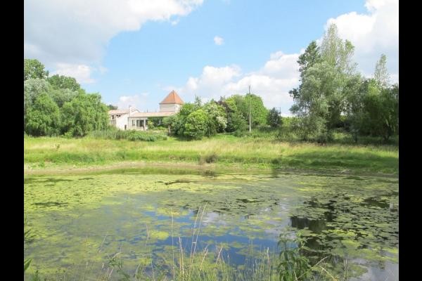 Photo n° 19 of the location