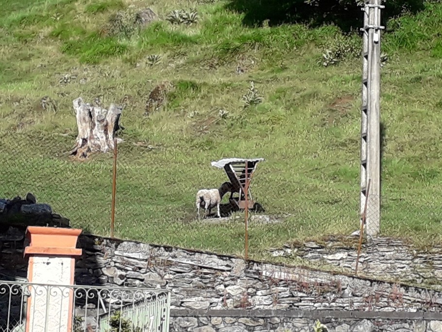 Vue depuis la chambre