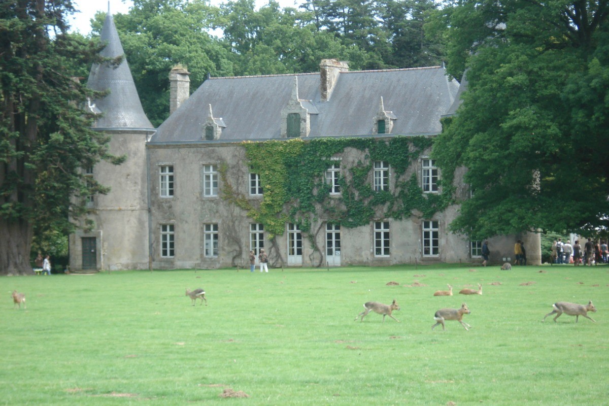Le Guerno, parc de Branféré