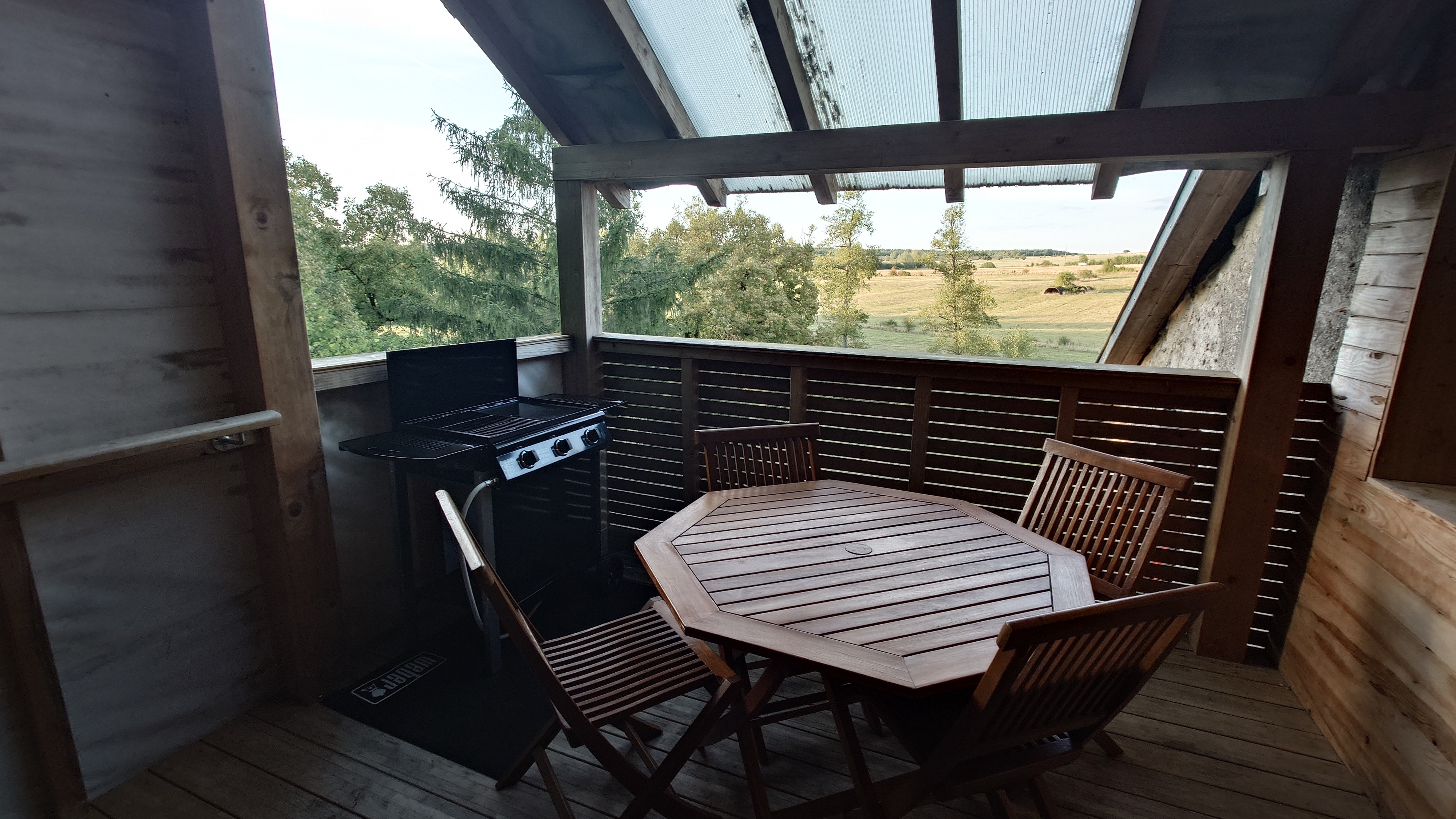 Terrace with gas barbecue