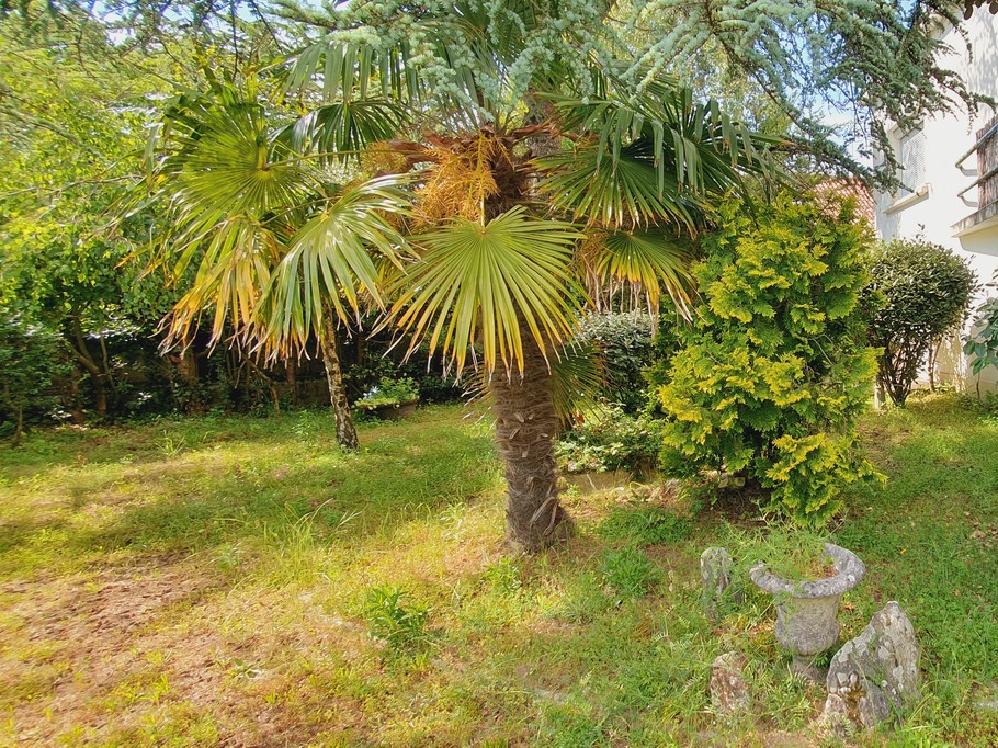 Photo n° 19 of the location