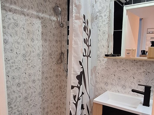 sdb chambre Azur N°2