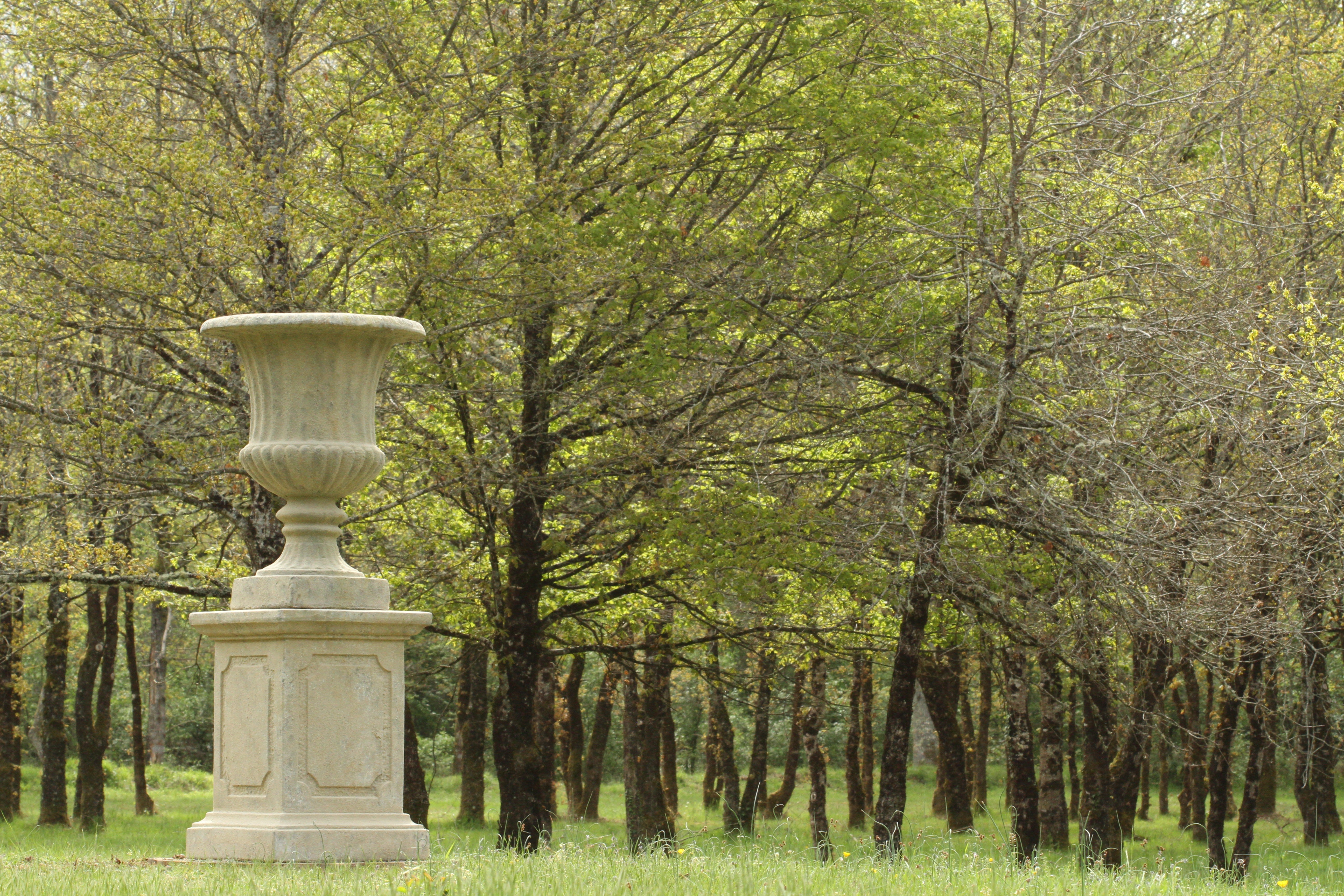 Photo n° 3 de la location