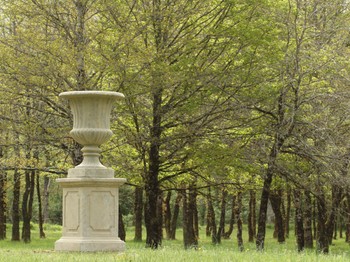 Photo n° 3 de la location