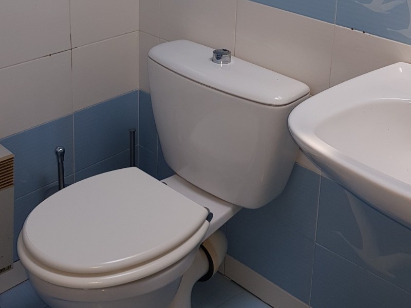 The ground floor bathroom