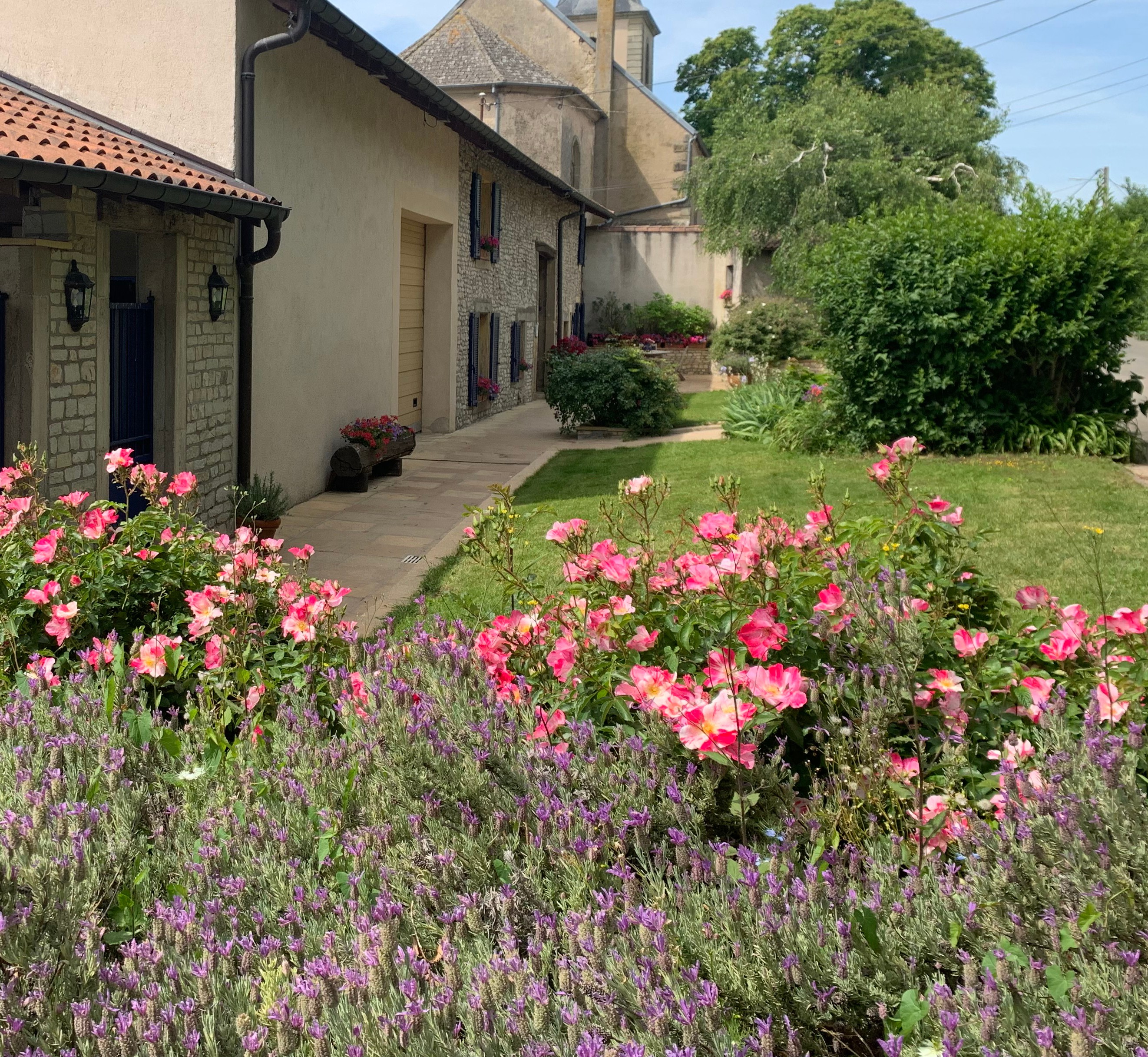 Photo n° 3 de la location