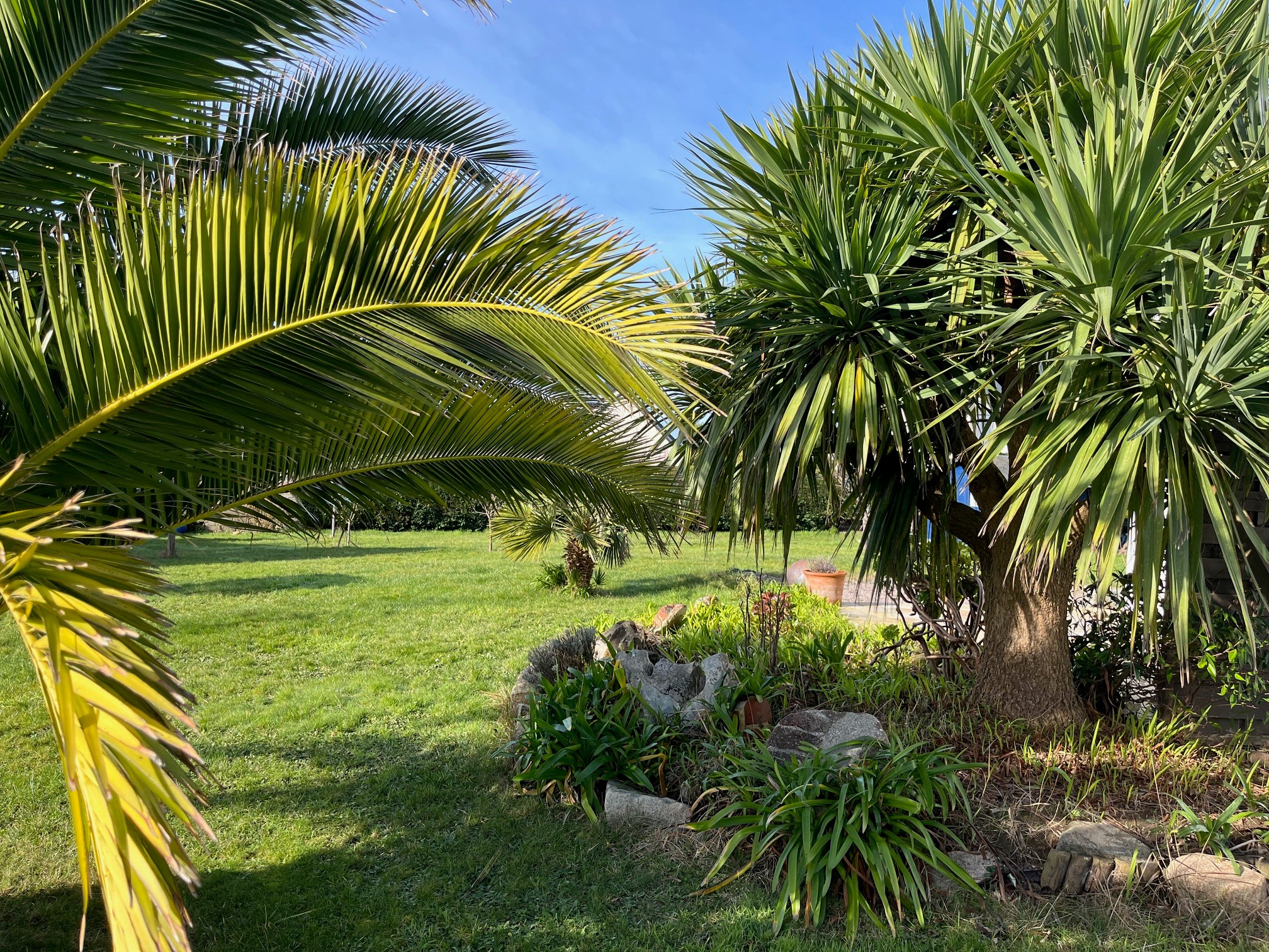 Photo n° 12 de la location