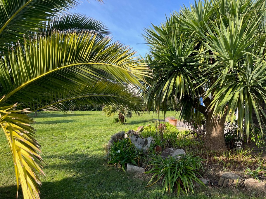 Photo n° 12 de la location