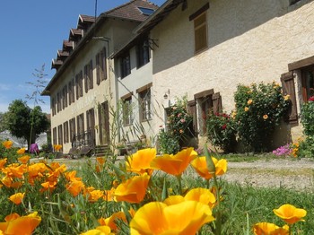 Photo n° 10 de la location