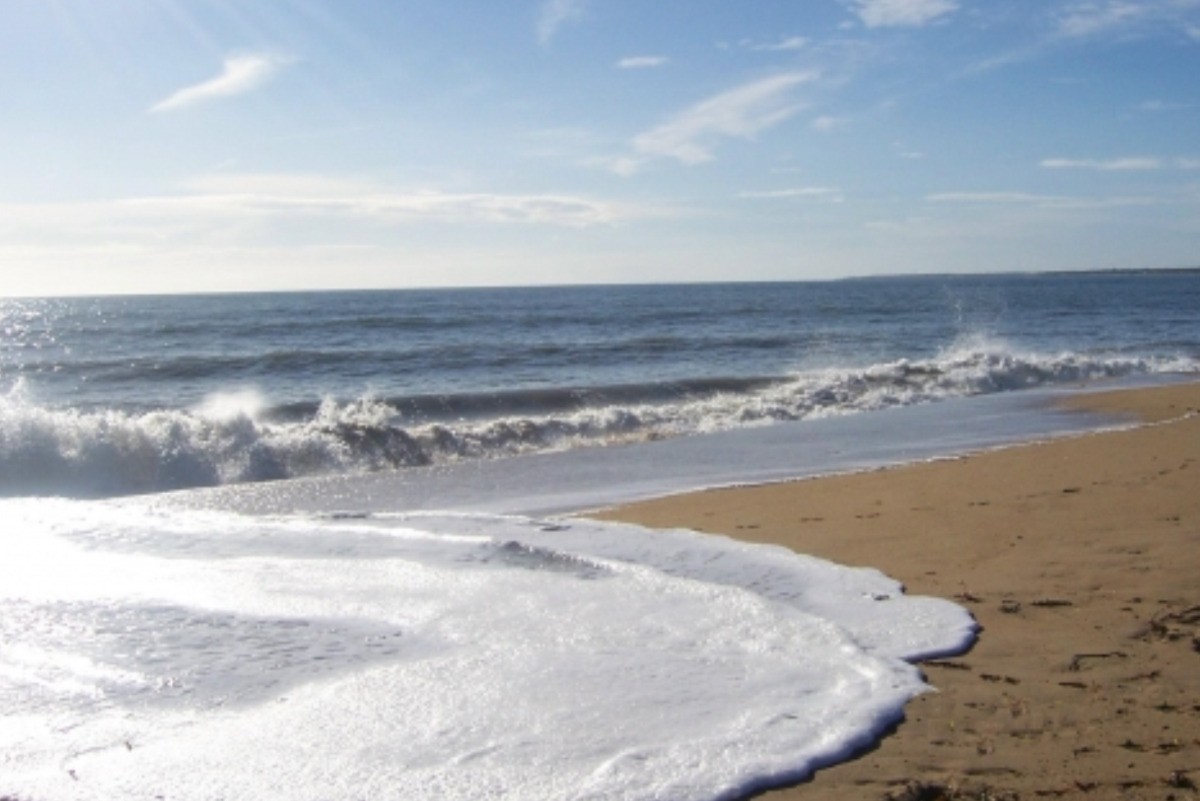 A 30 minutes des plages de sable fin du Sud Vendée
