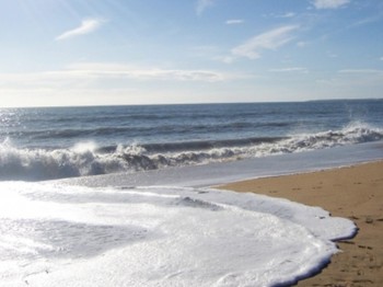 A 30 minutes des plages de sable fin du Sud Vendée