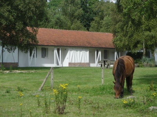 Photo n° 2 de la location