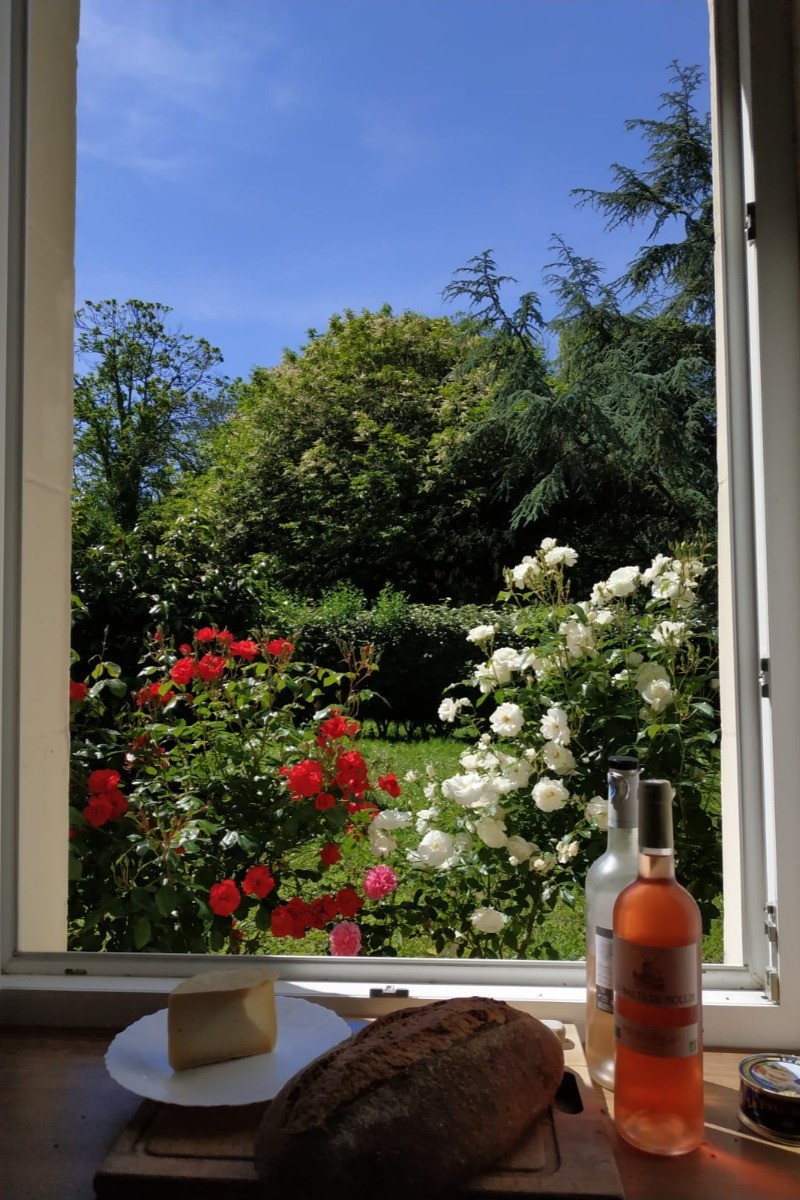 vue sur jardin