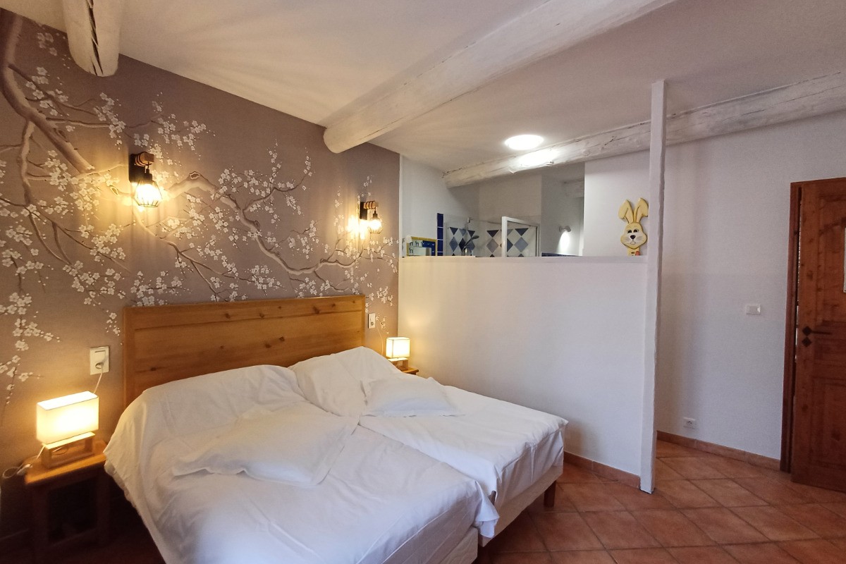 Chambre 2 lits * 90 avec salle de bains