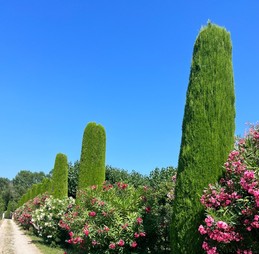 Allée Provençale pour vous accueillir