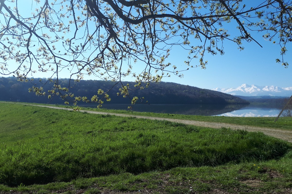 Photo n° 20 de la location