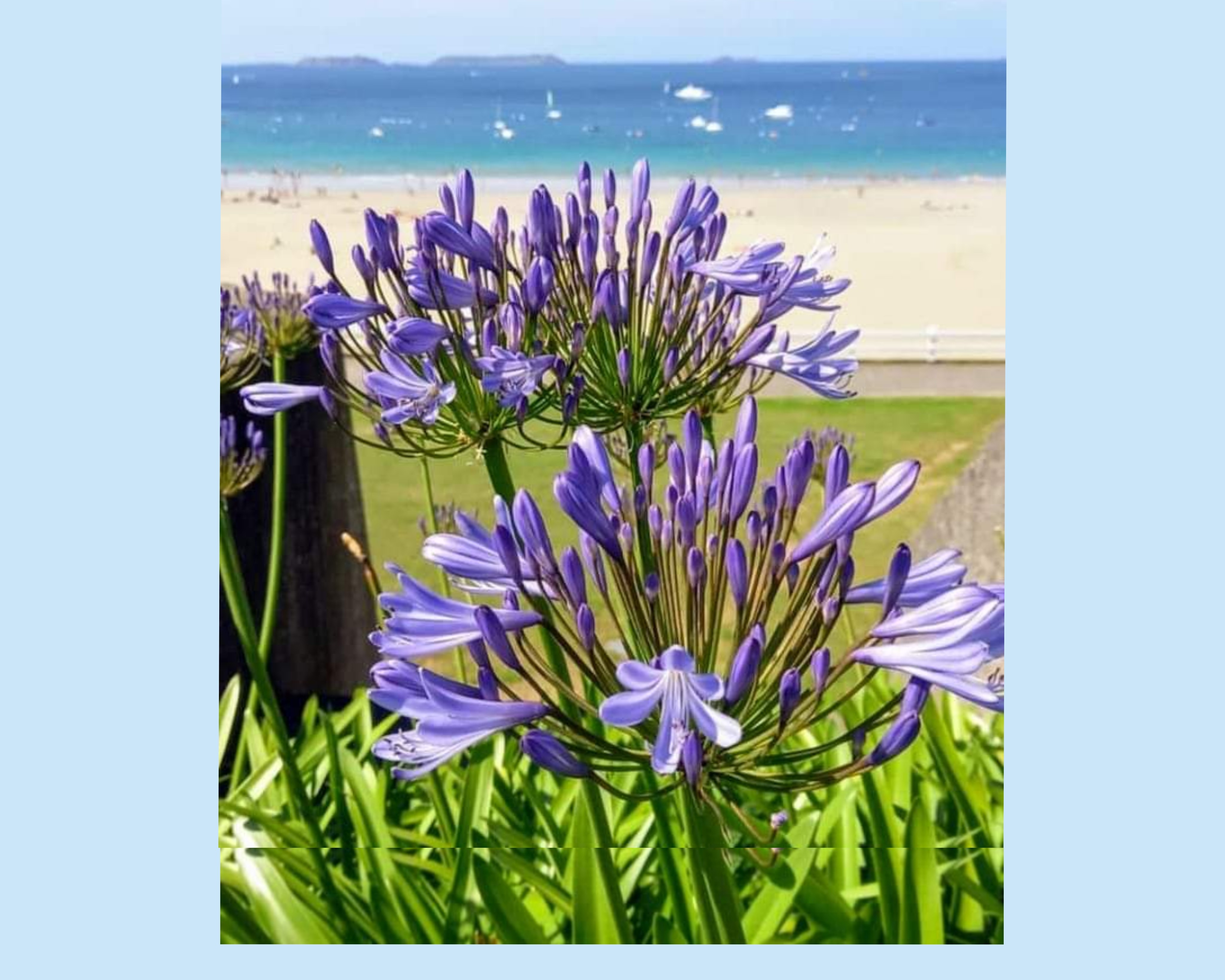 Bord de mer