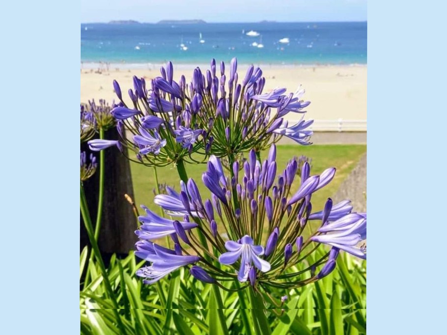 Bord de mer