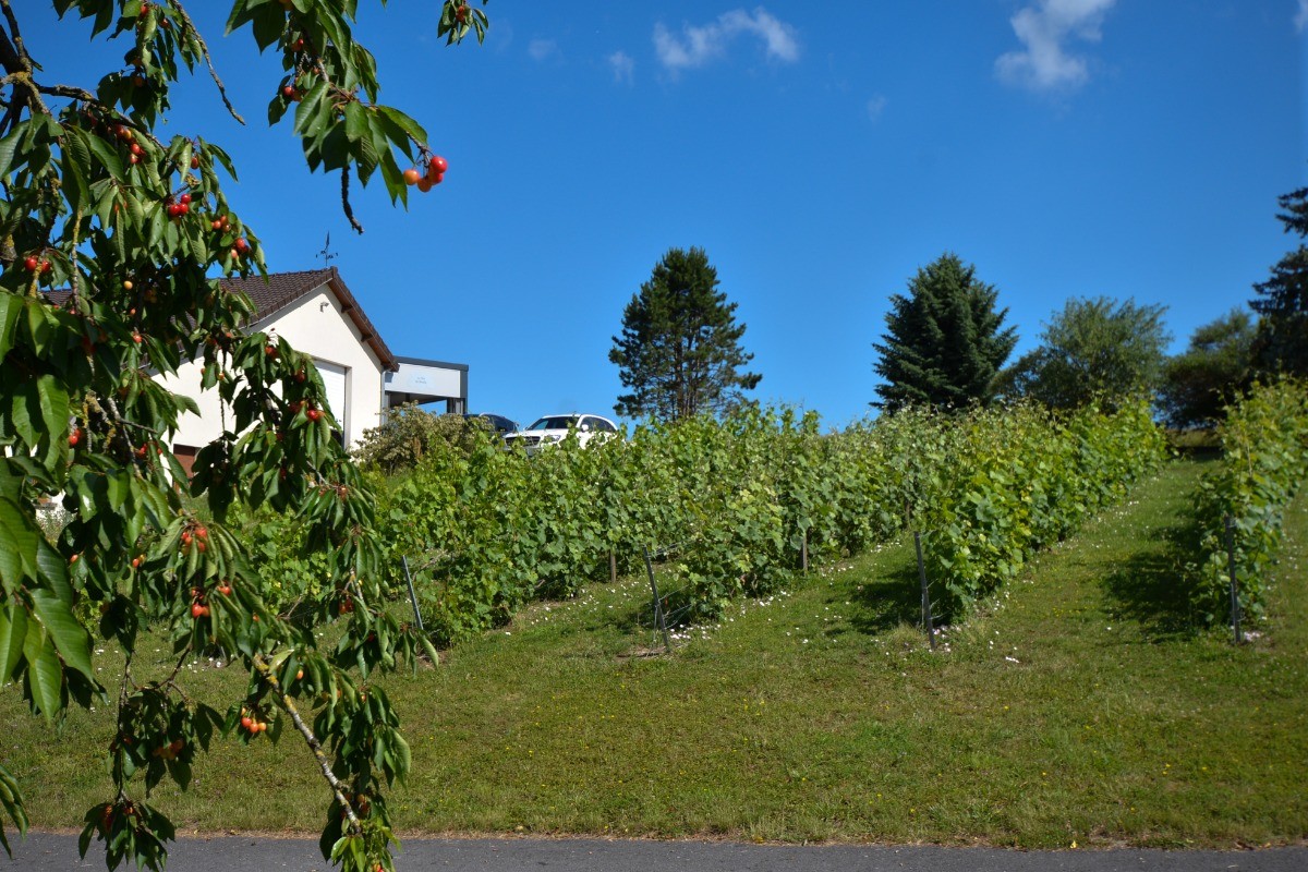 Photo n° 15 of the location