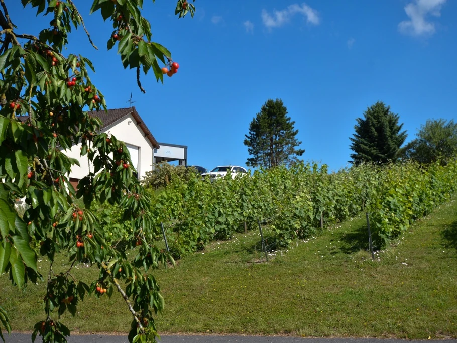 Photo n° 15 de la location