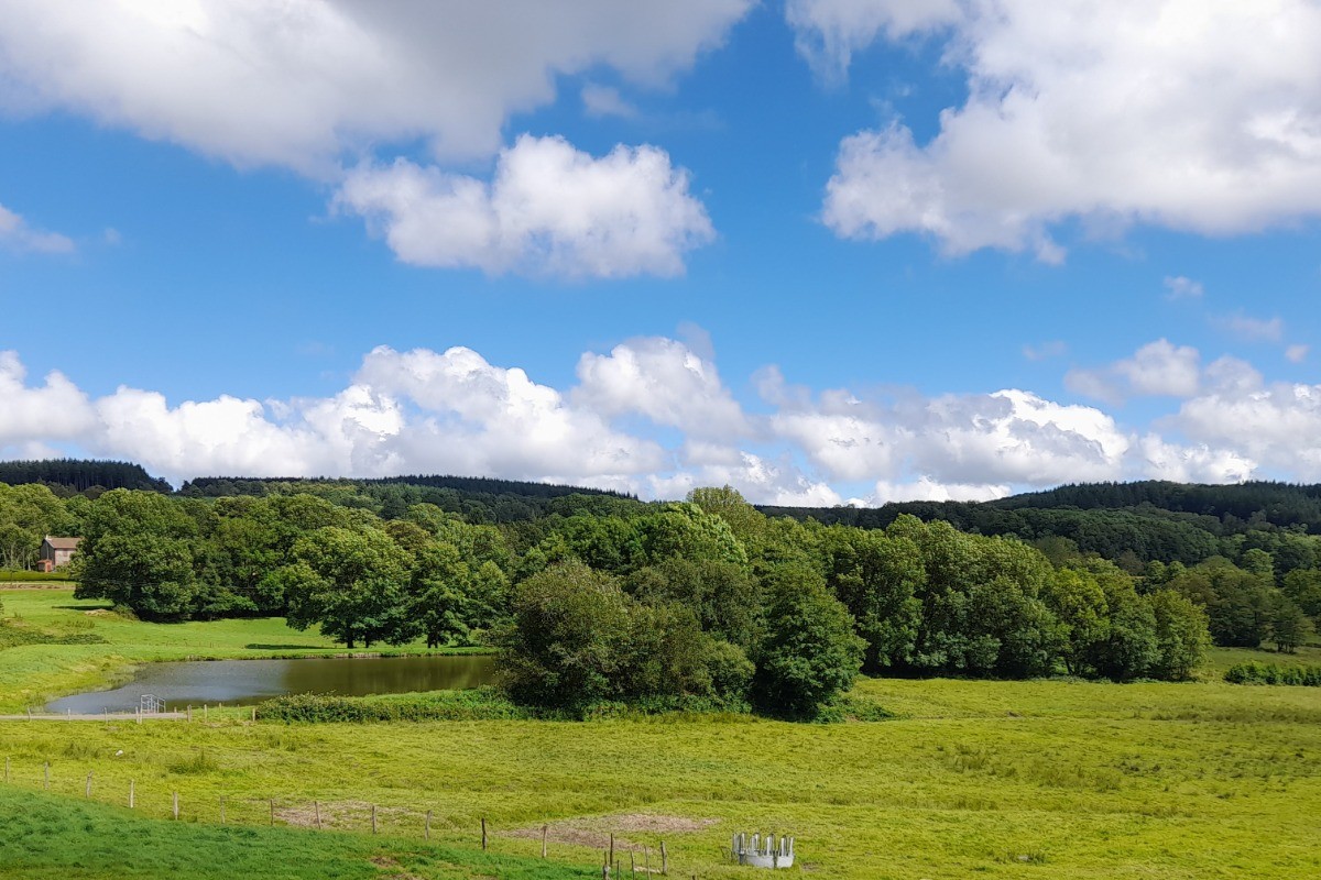 Vue sur l'étang