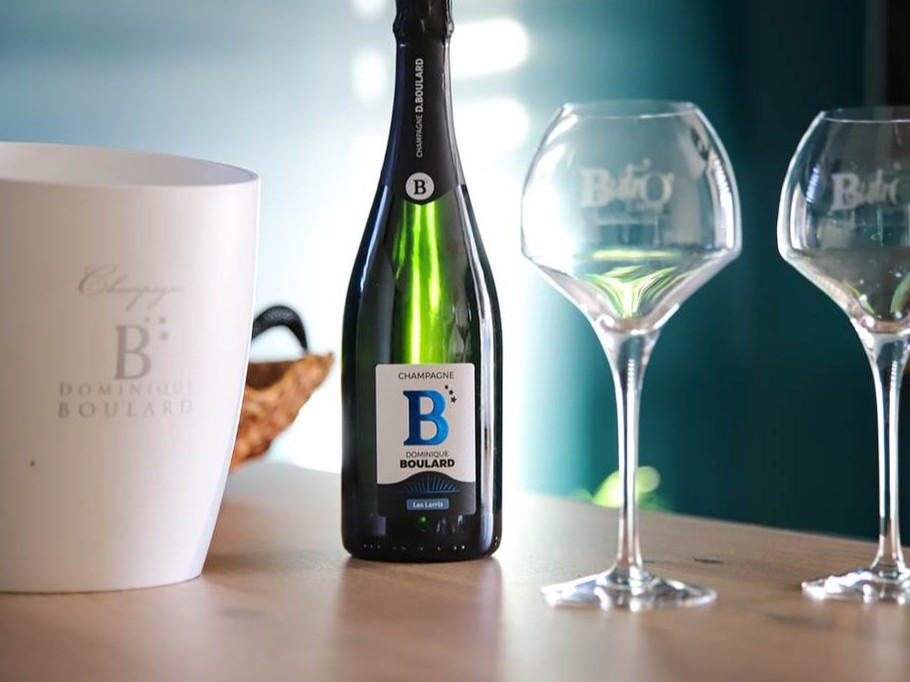 Champagne Dominique Boulard Gîte Appart'Edith La Neuville aux Larris