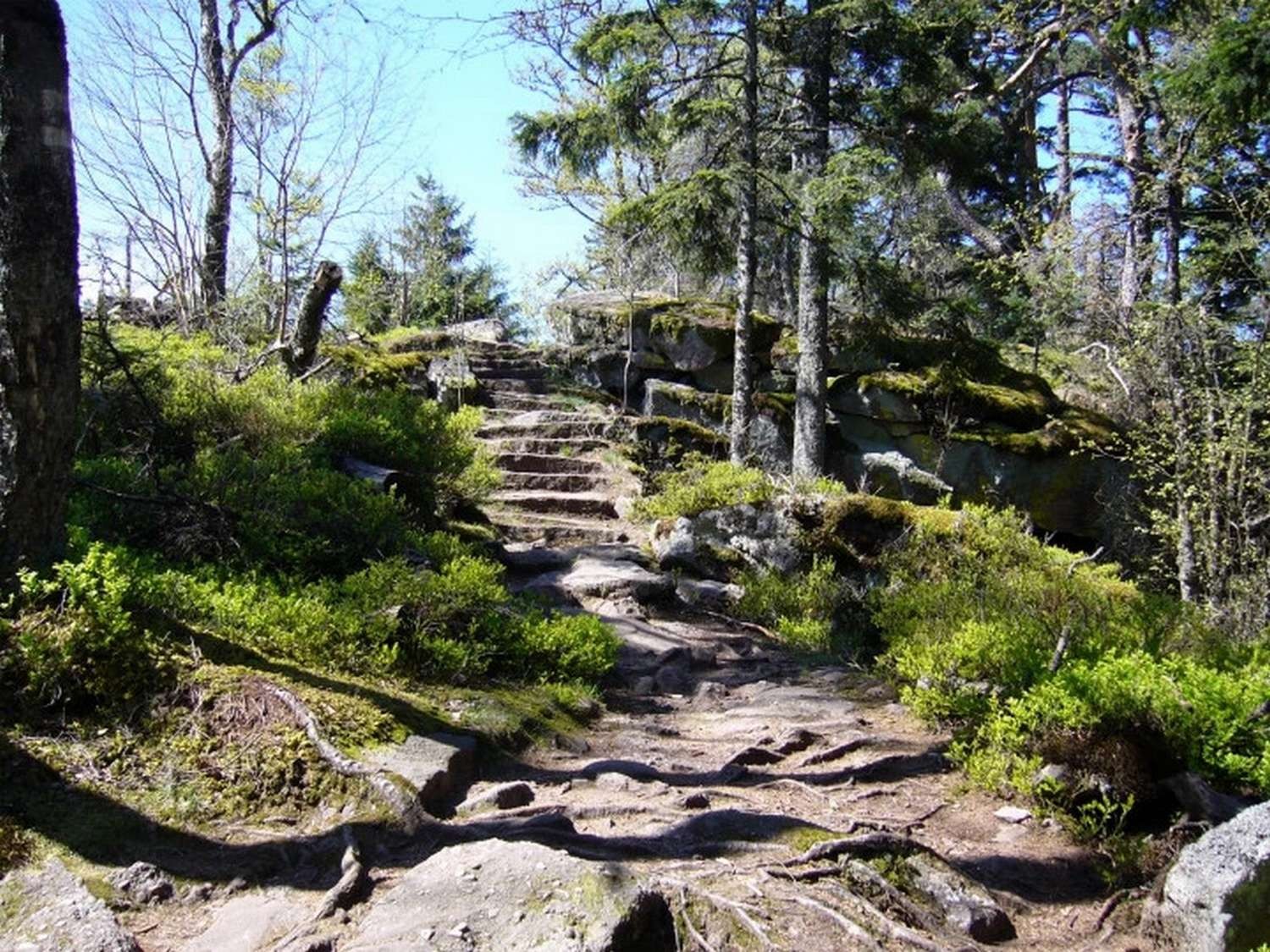 Photo n° 16 of the location