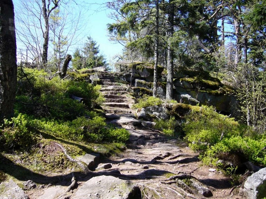 Photo n° 16 of the location
