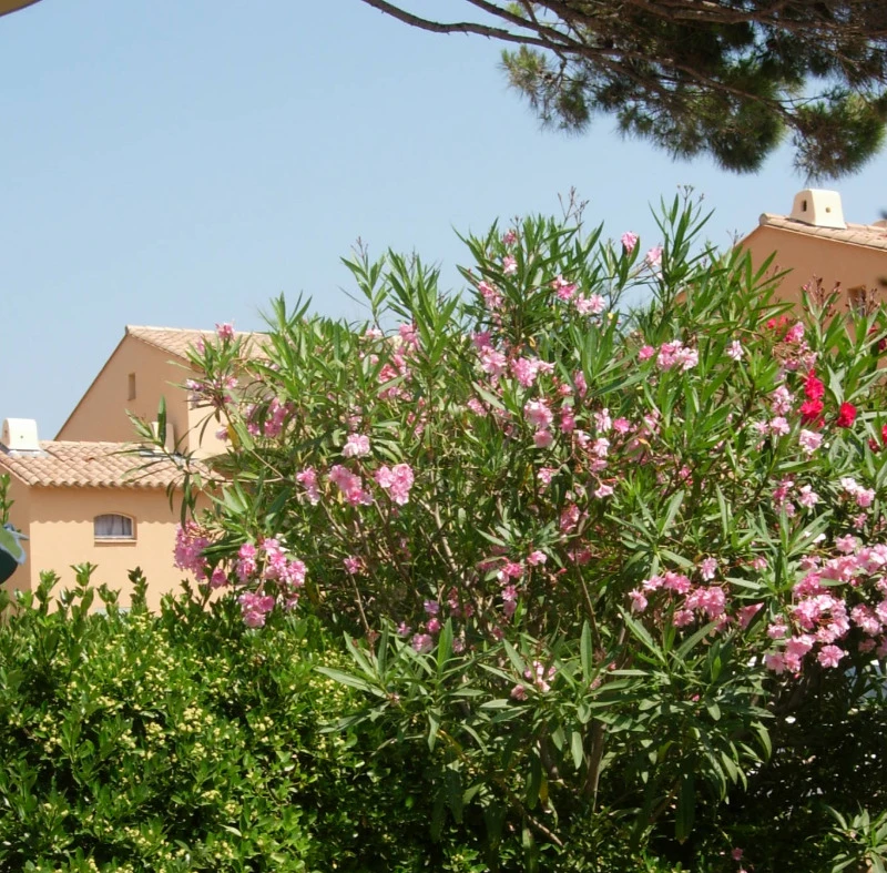 Appartement de la Nartelle (Var, Côte d'Azur)