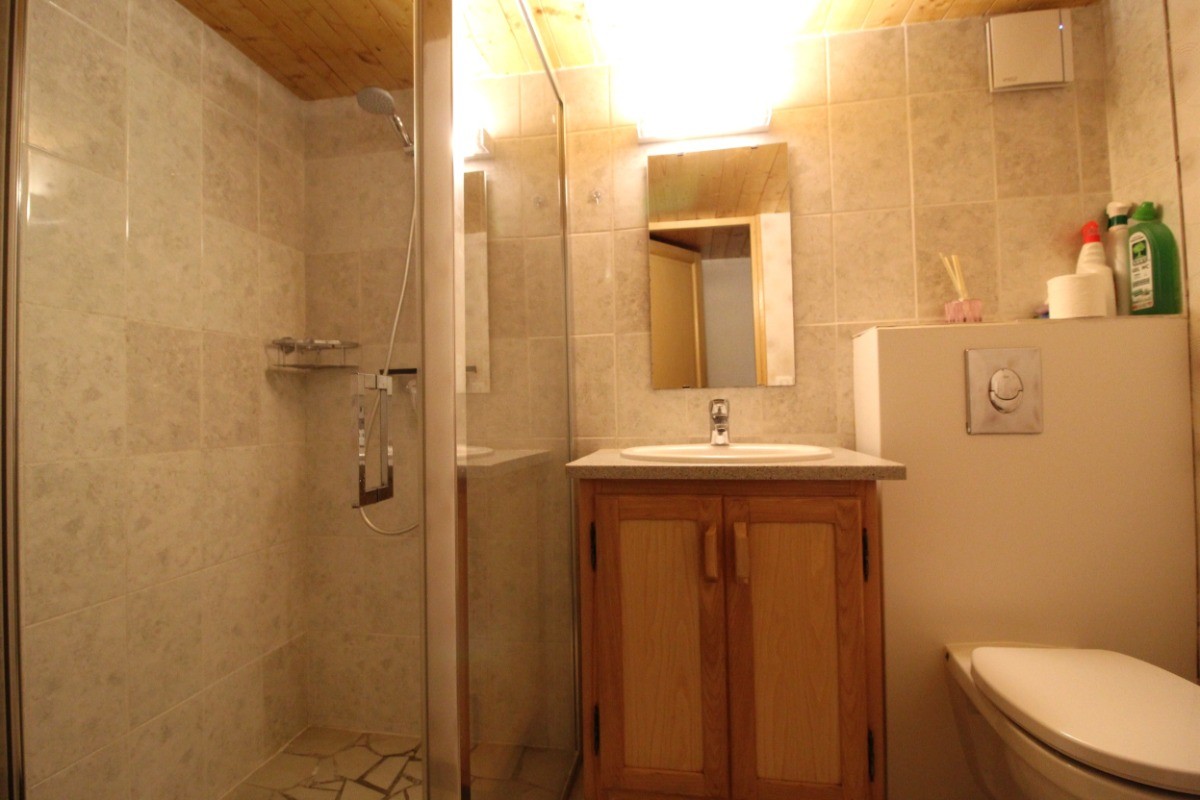 Salle d'eau avec grande cabine de douche - Chalet Pervenche