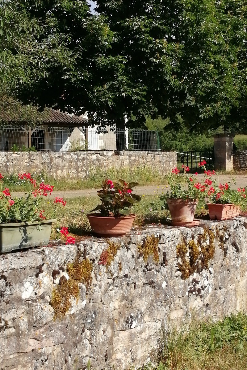 Photo n° 9 of the location