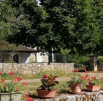 Photo n° 9 de la location