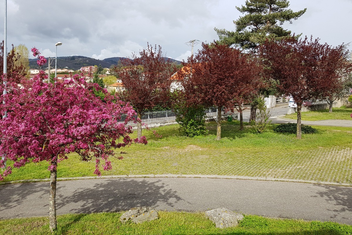Photo n° 6 de la location