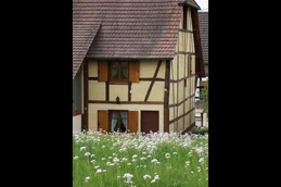 Image n° 5 de la location