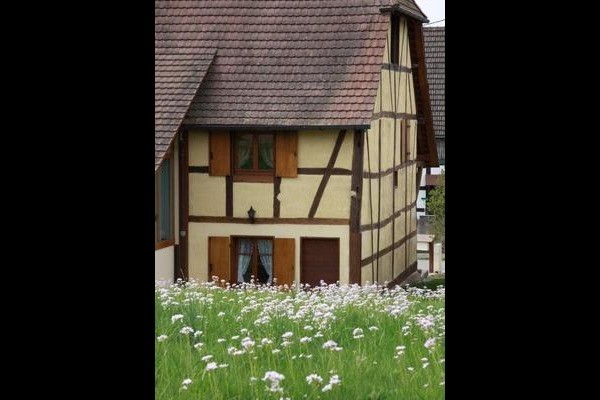 Photo n° 5 de la location
